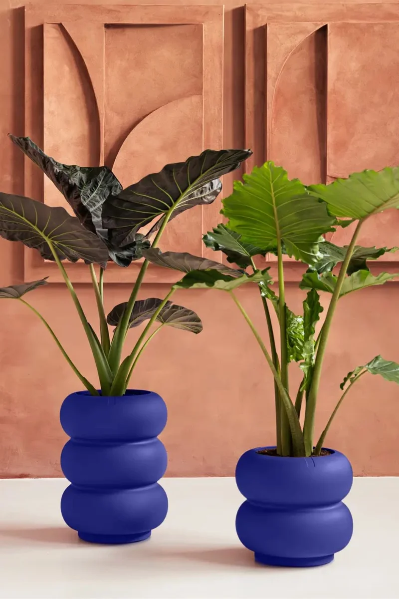 Blumentopf Elho Amber Roll High 58 cm Royalblau