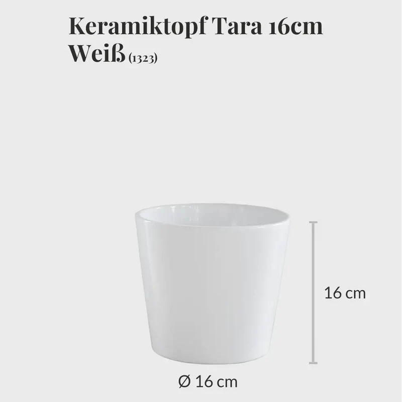 Hydro 4er Übertopfset Weiß-Natur