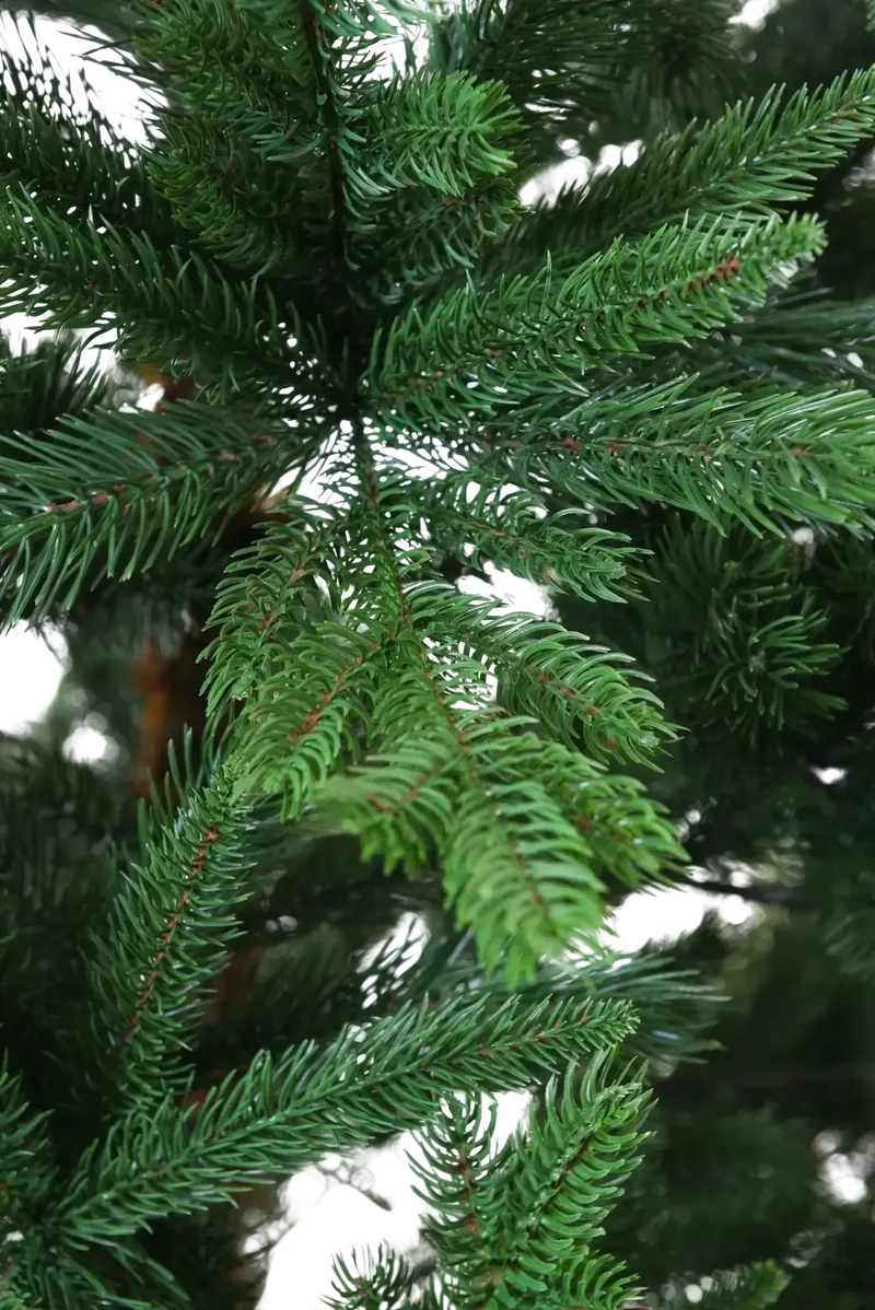 Künstlicher Weihnachtsbaum - Gabriel | 250 cm