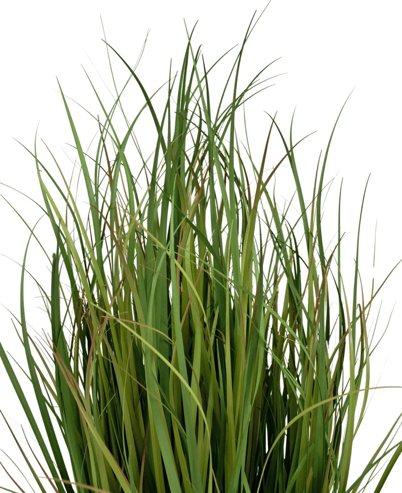 Kunstgras Dogtail uiengras Bran 80 cm brandvertragend