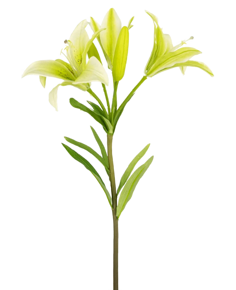 Künstliche Blume Asiatische Lilie 66 cm weiß
