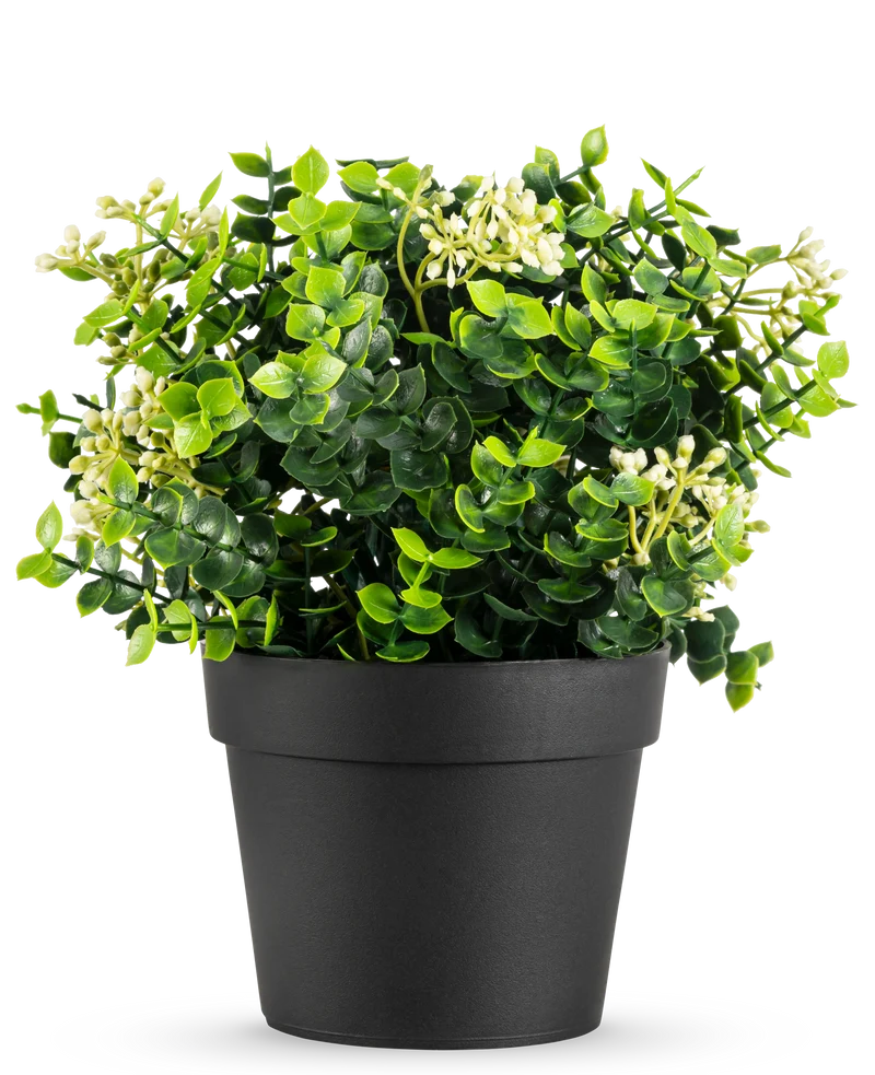 Kunstpflanze Eukalyptus Mix 22 cm UV