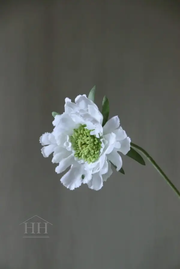 Scabiosa kunstbloem wit - 71 cm