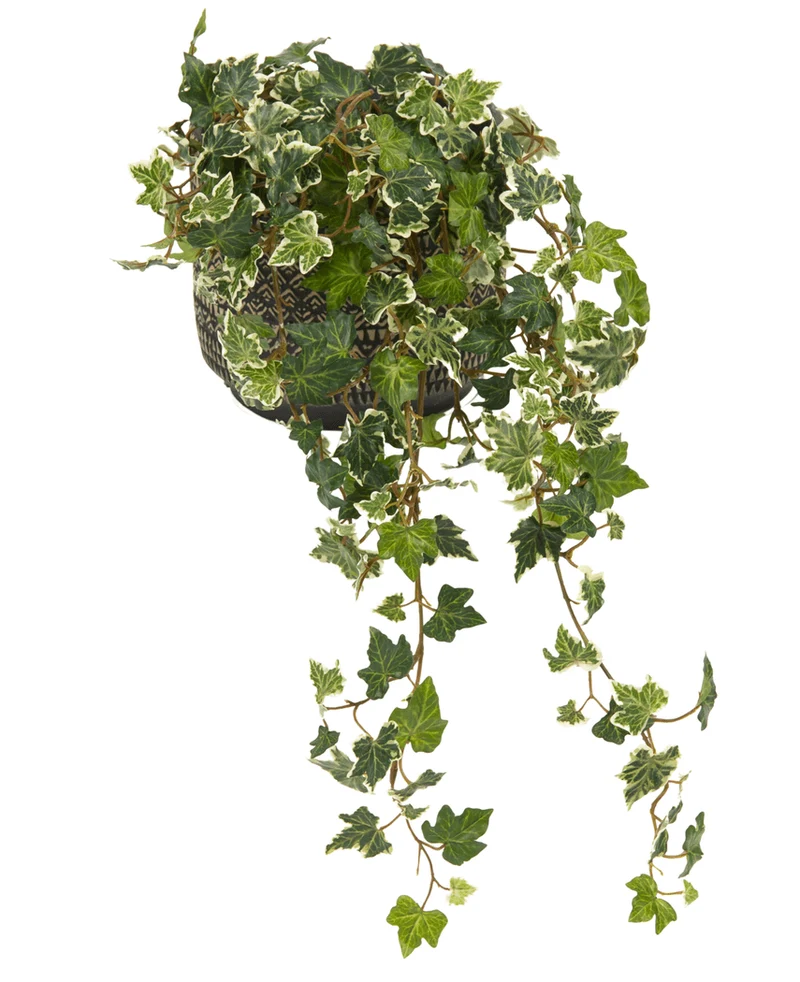 Kunst Klimop Deluxe Groen-wit 60cm