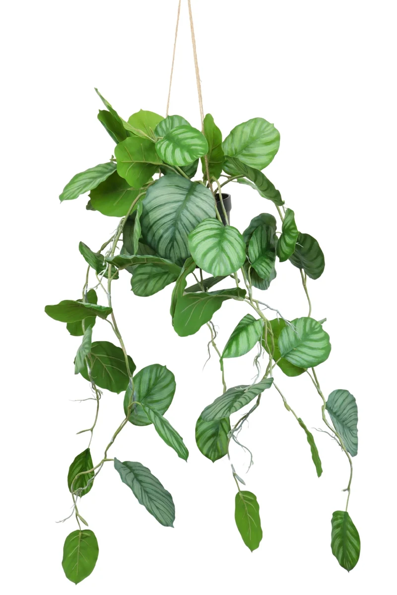 Calathea künstliche Hängepflanze 95cm