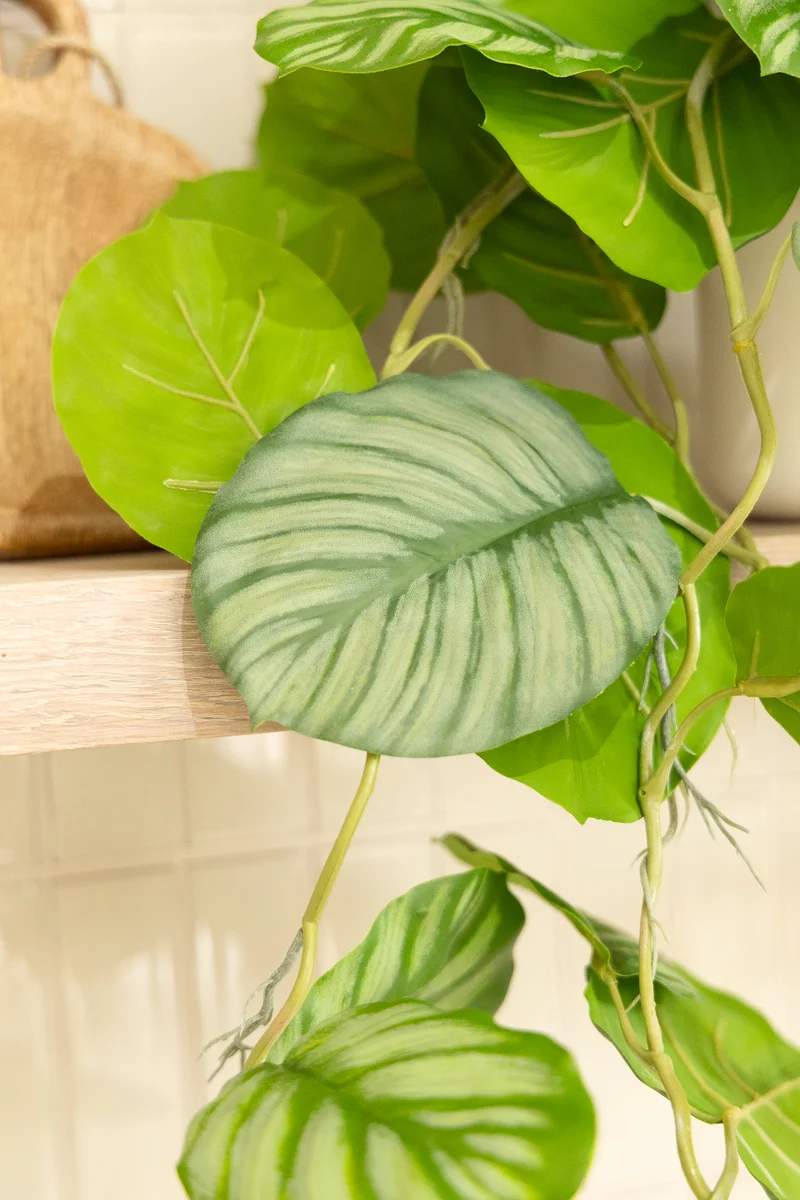 Calathea künstliche Hängepflanze 95cm
