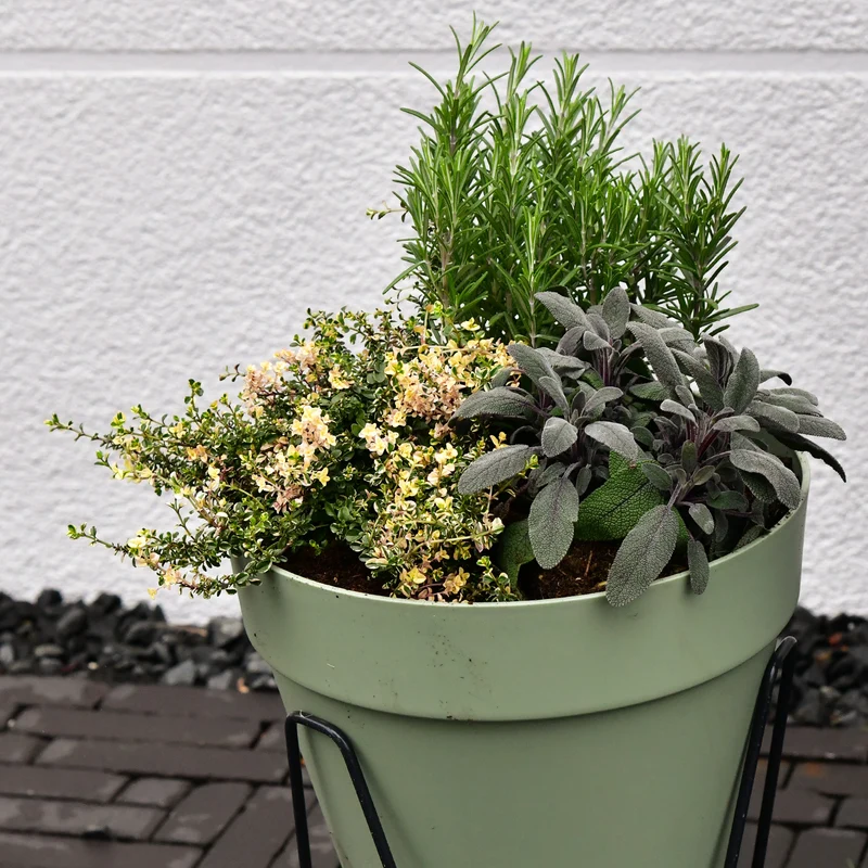 Elho Loft Pflanzkübel 30cm