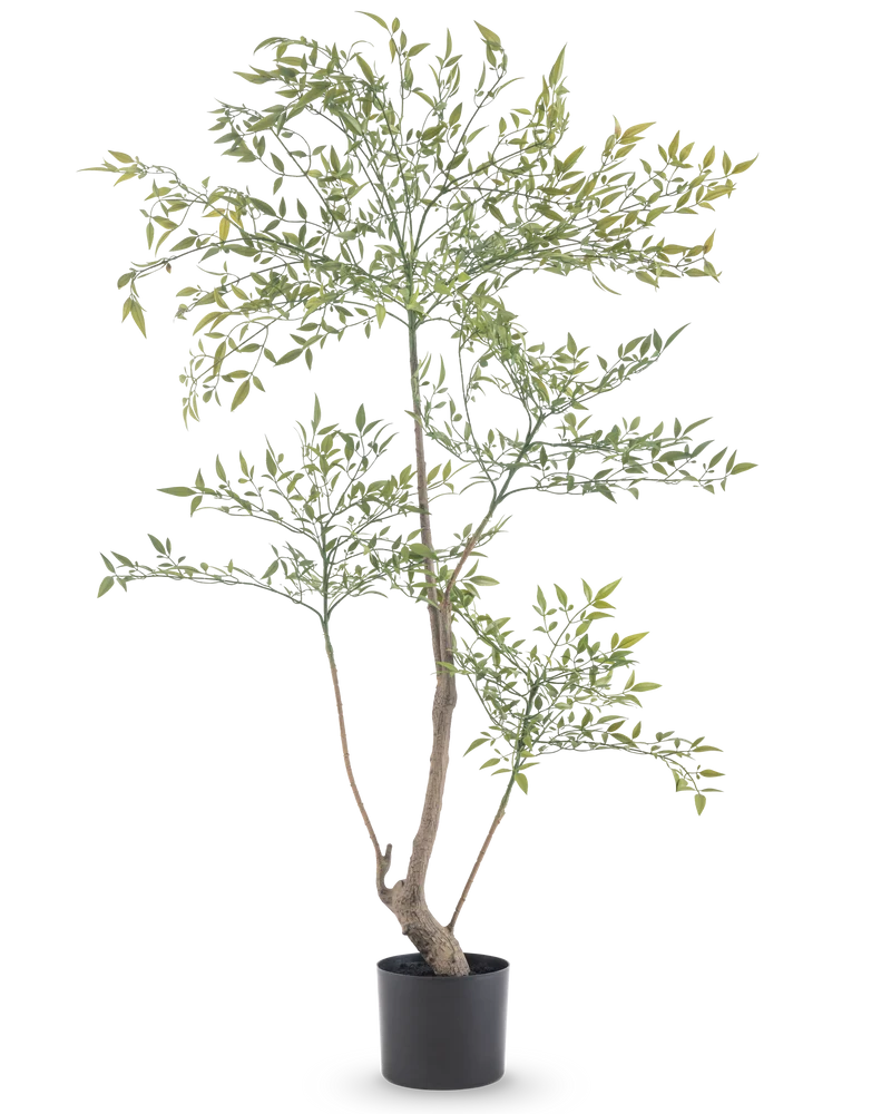 Künstliche Pflanze Ruscus 120 cm