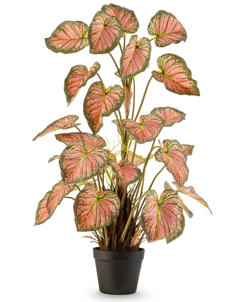 Kunstpflanze Caladium 90 cm rosa