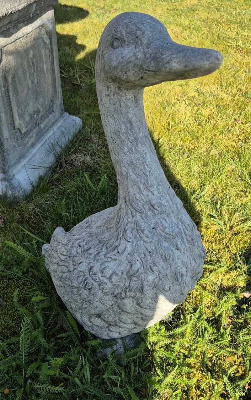 Beeld gans beton