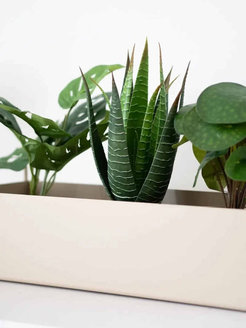 Künstliche Aloe - Patty | 30 cm