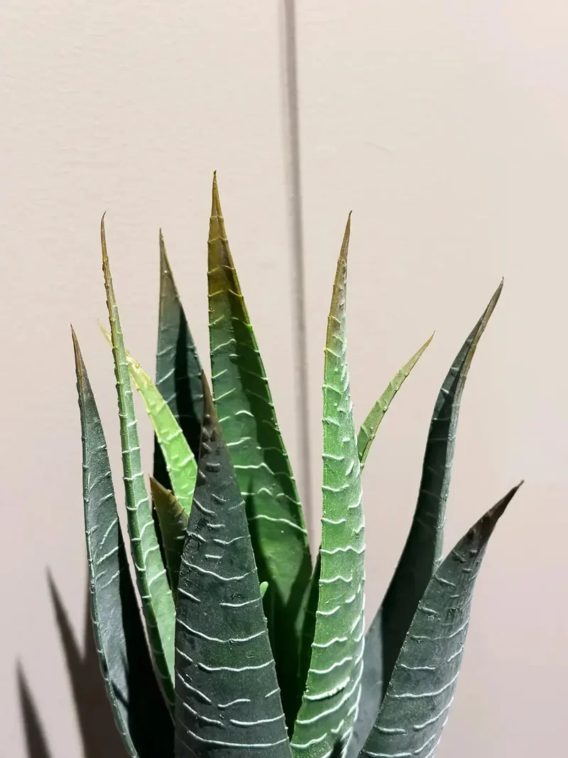 Künstliche Aloe - Patty | 30 cm