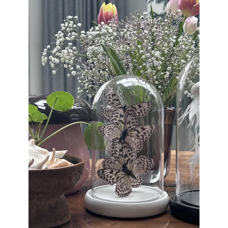 Glasglocke mit Schmetterlingsmotiv, Schwarz/Weiß