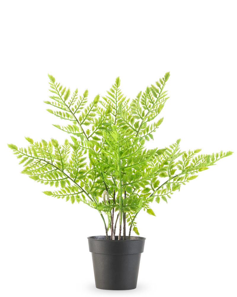 Künstliche Pflanze Farn 35 cm