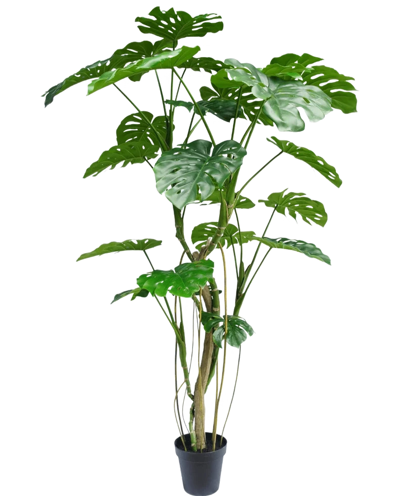 Künstliche Pflanze Monstera 210 cm