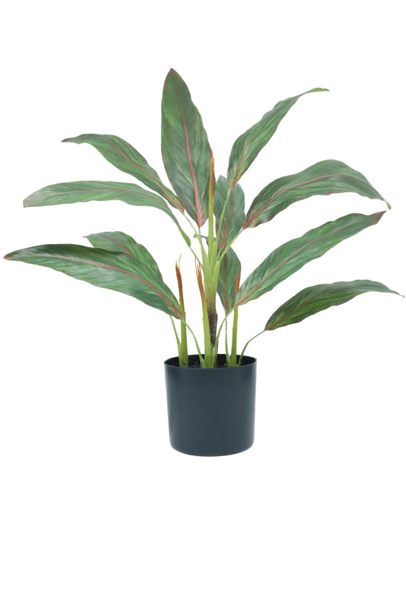 Cordyline Kunstpflanze 50cm