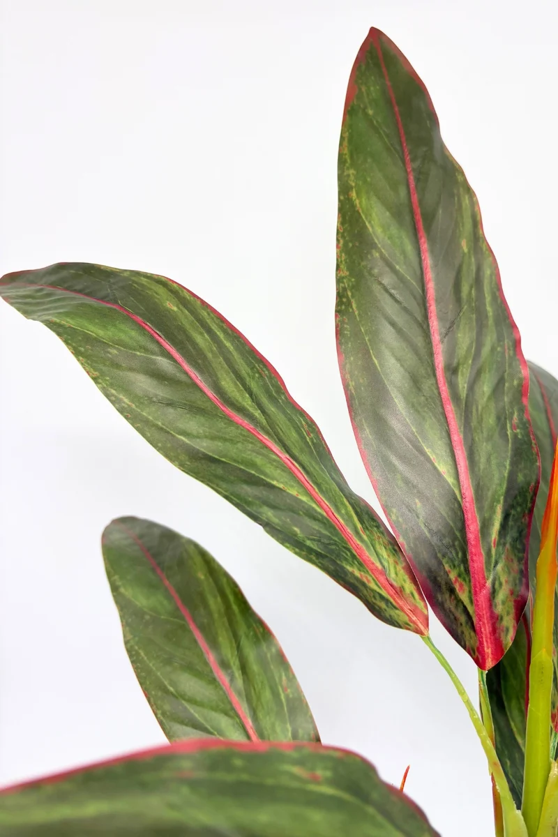 Cordyline Kunstpflanze 50cm