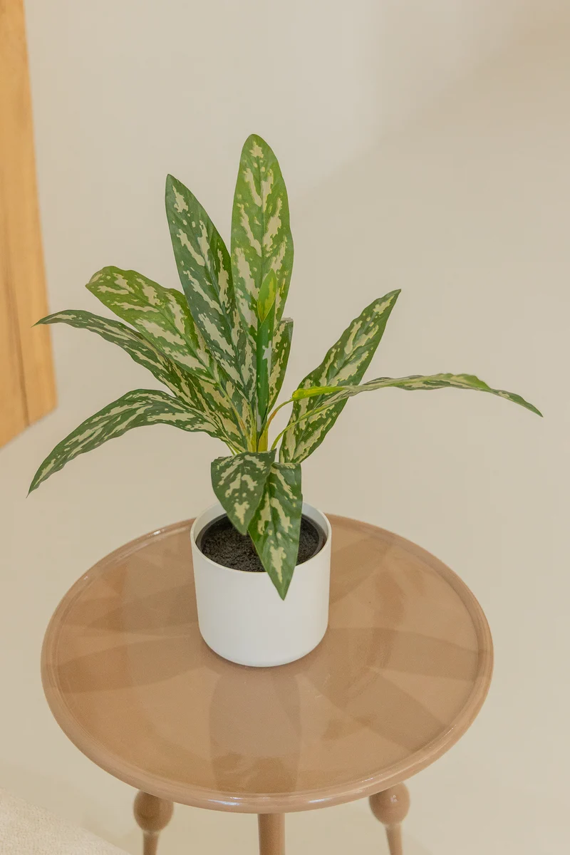 Dracaena Kunstpflanze 40 cm