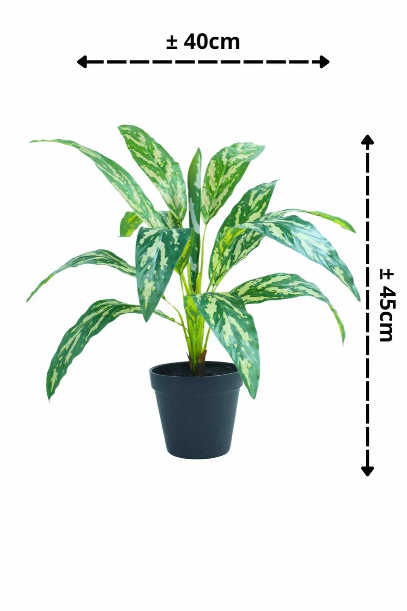 Dracaena Kunstpflanze 40 cm