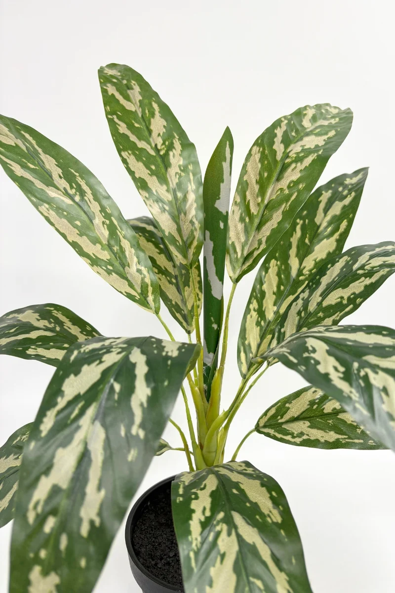 Dracaena Kunstpflanze 40 cm