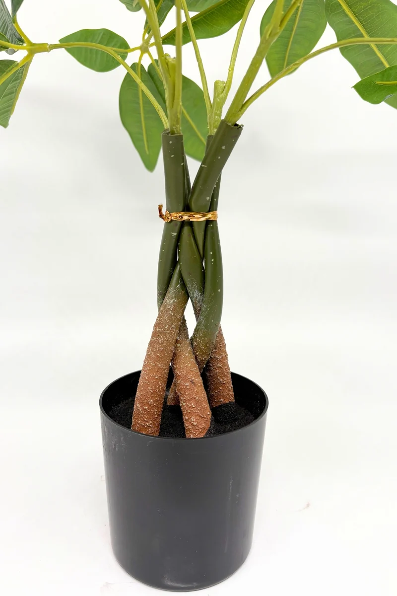 Pachira Kunstpflanze 45 cm