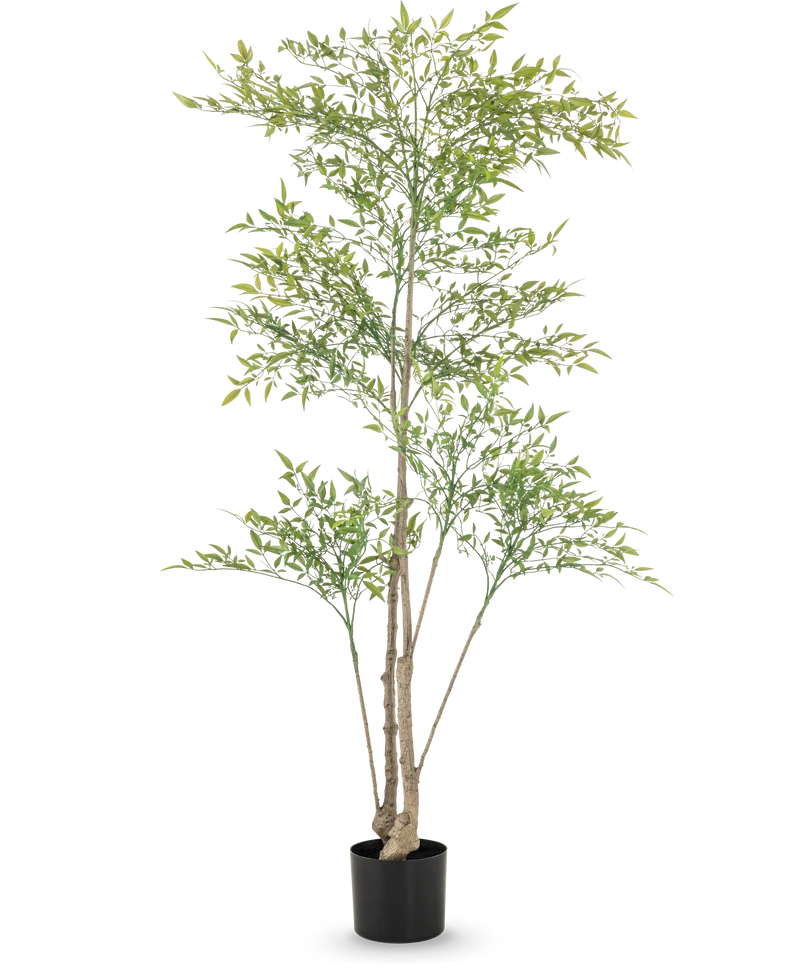 Künstliche Pflanze Ruscus 150 cm