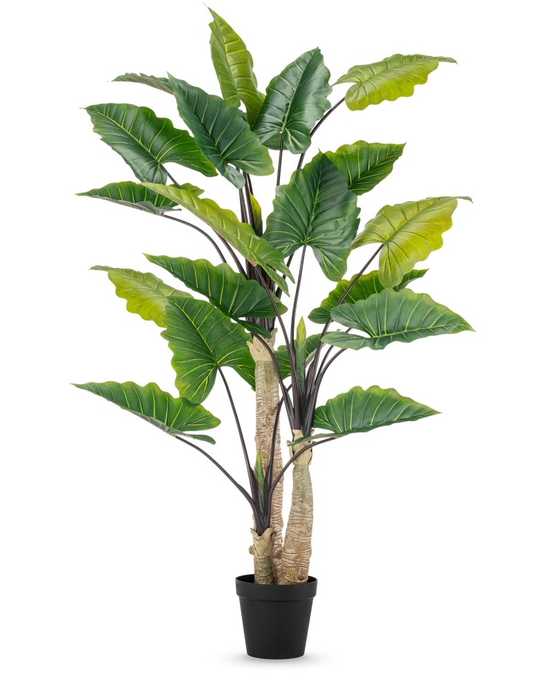 Künstliche Pflanze Alocasia 240 cm