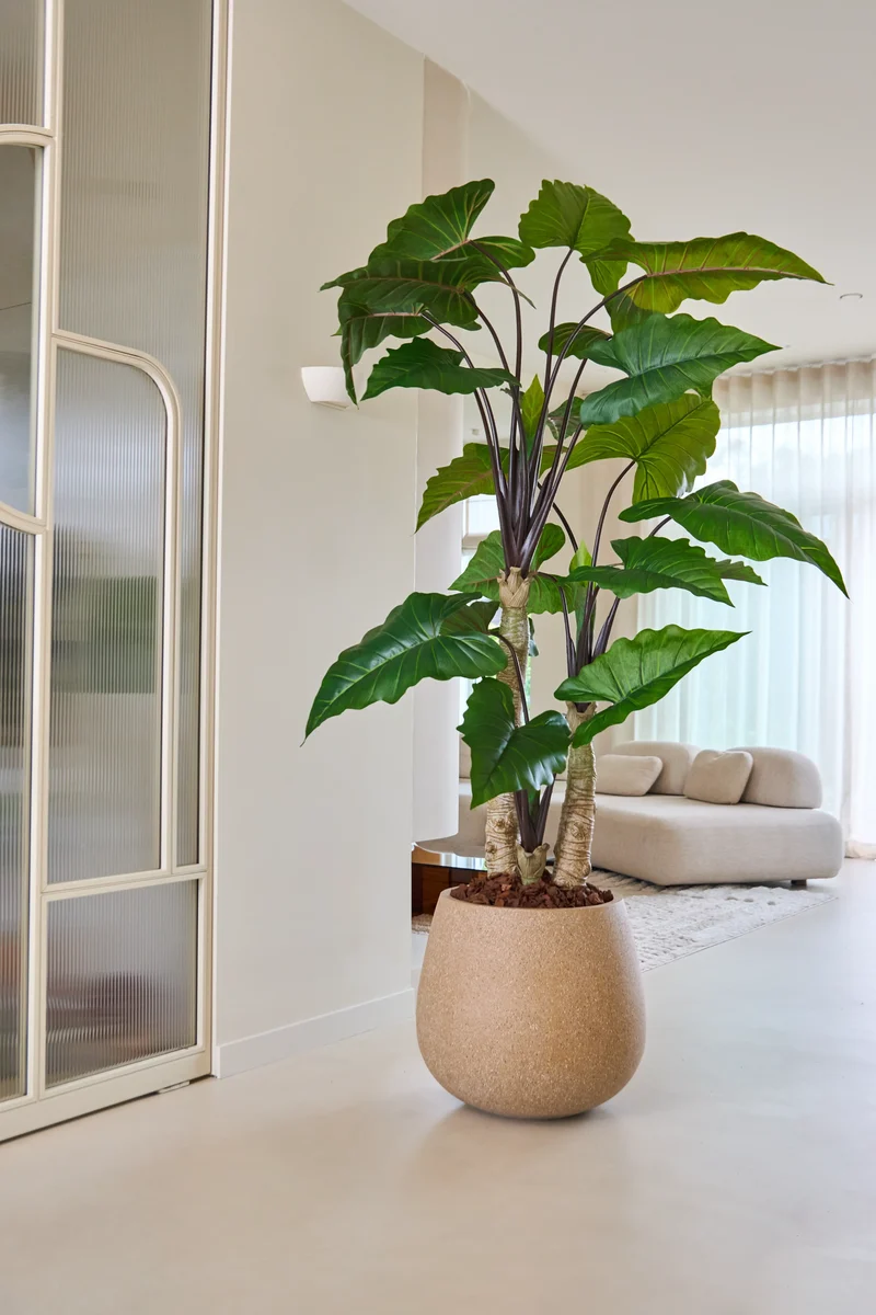 Künstliche Pflanze Alocasia 240 cm