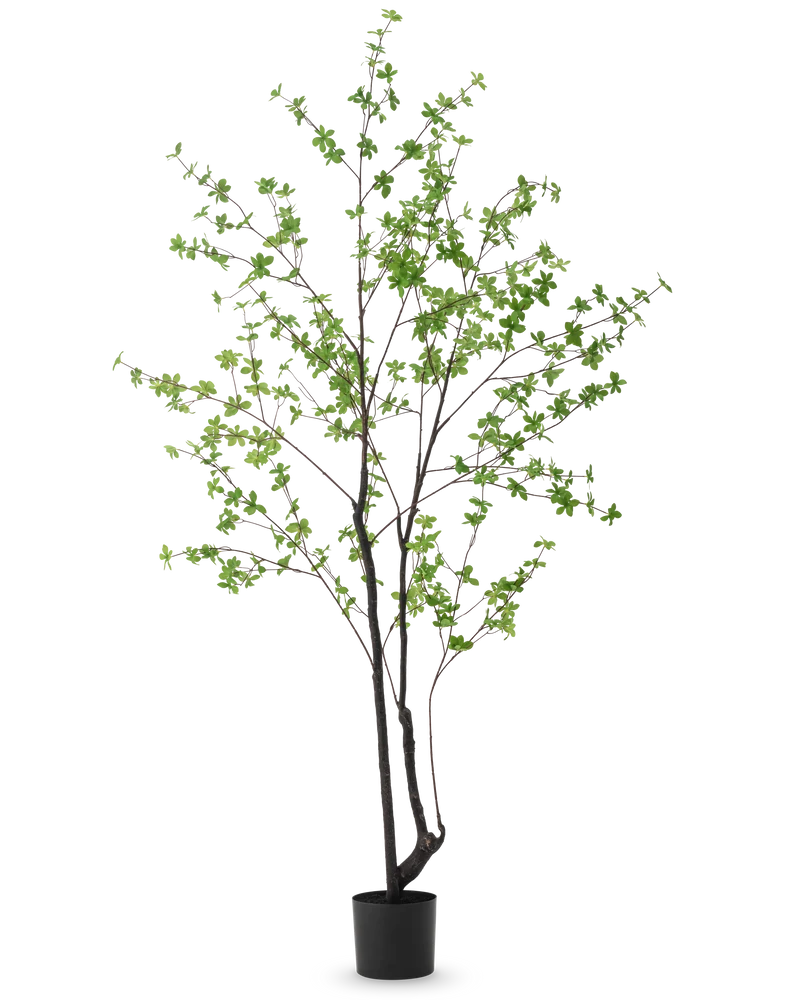 Künstliche Pflanze Enkianthus 210 cm