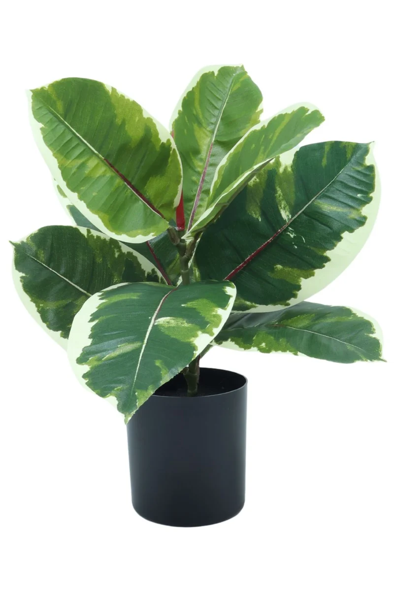 Ficus Elastica Kunstpflanze 30 cm
