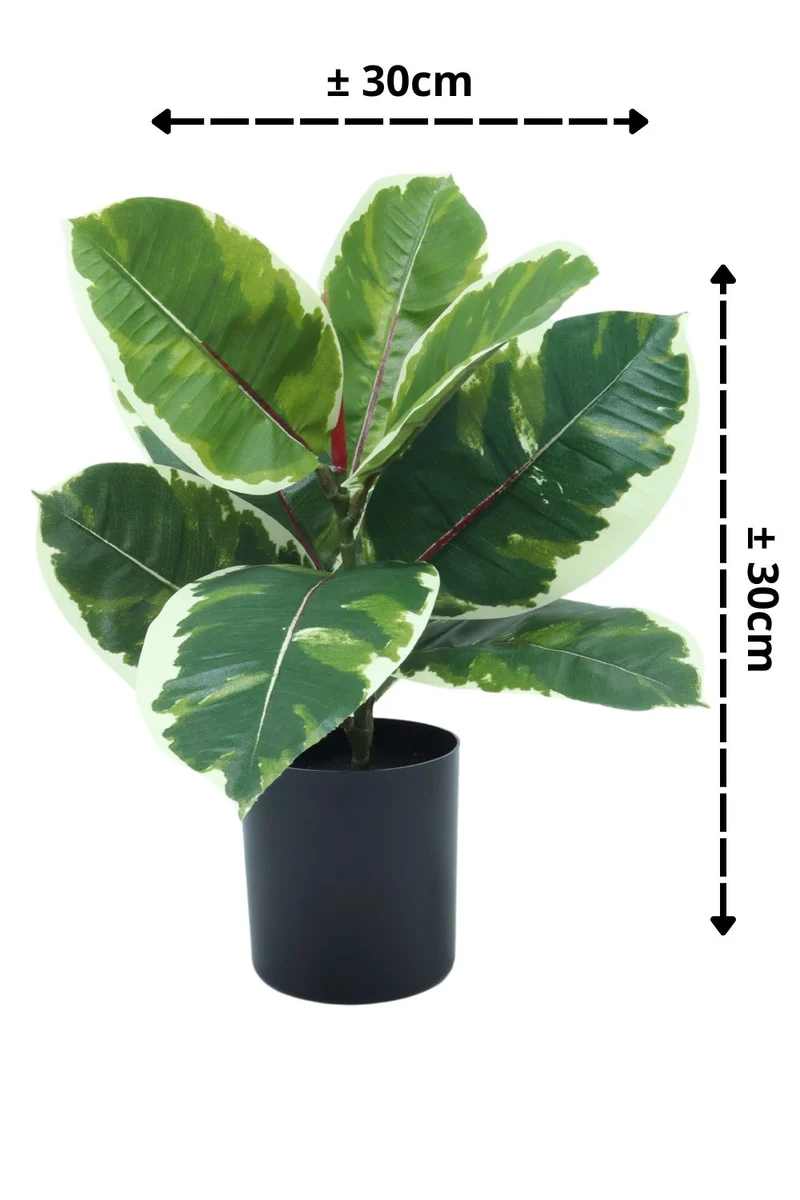 Ficus Elastica Kunstpflanze 30 cm