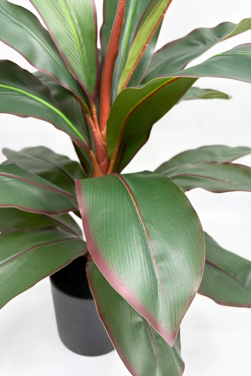 Dracaena Kunstpflanze 60cm
