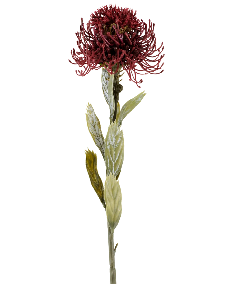 Künstliche Blume Protea 60 cm bordeaux