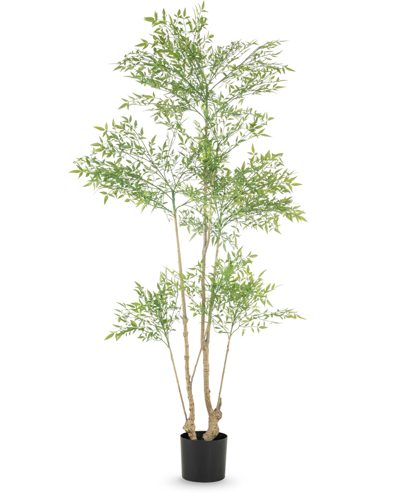 Künstliche Pflanze Ruscus 180 cm