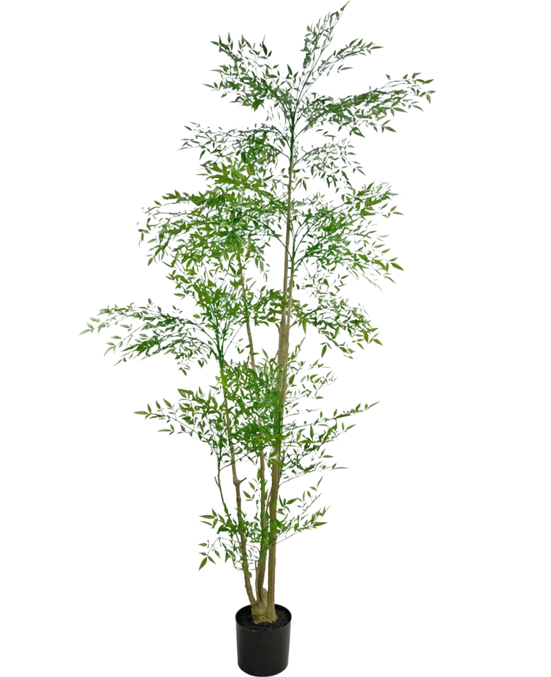 Künstliche Pflanze Ruscus 210 cm