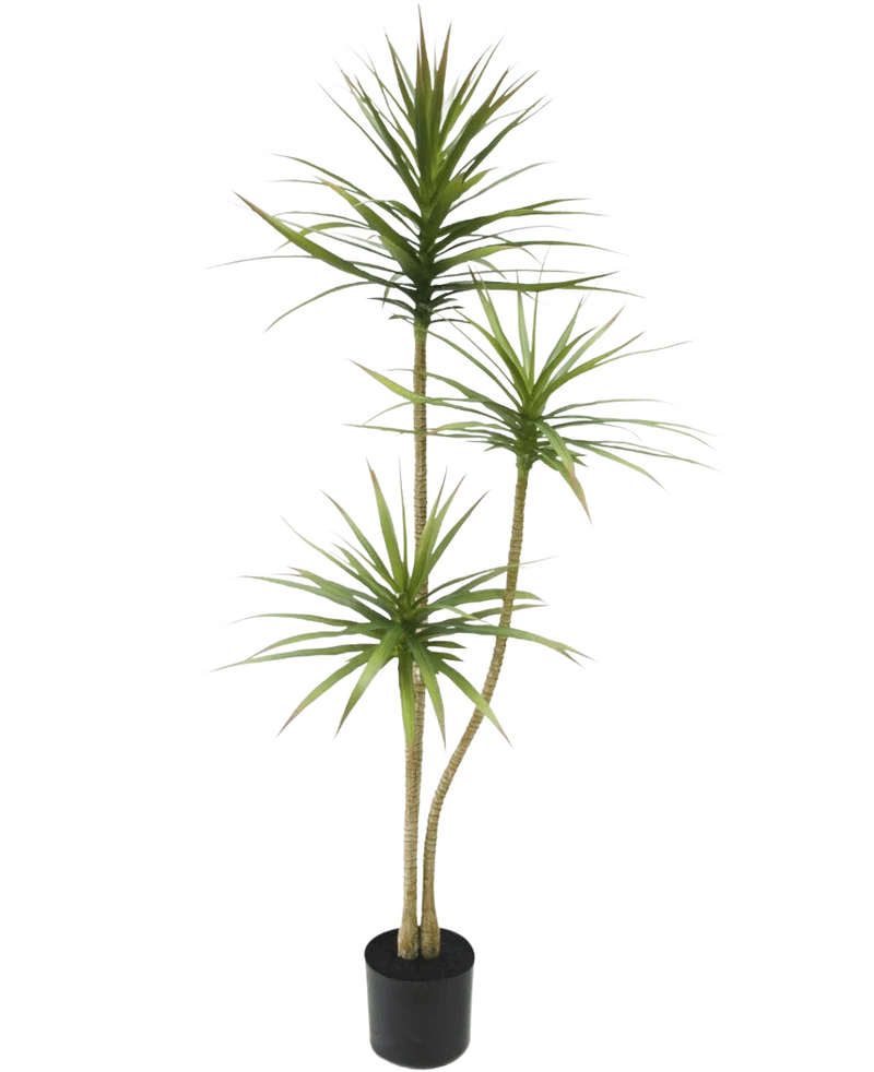 Künstliche Pflanze Dracaena Fragnans 150 cm