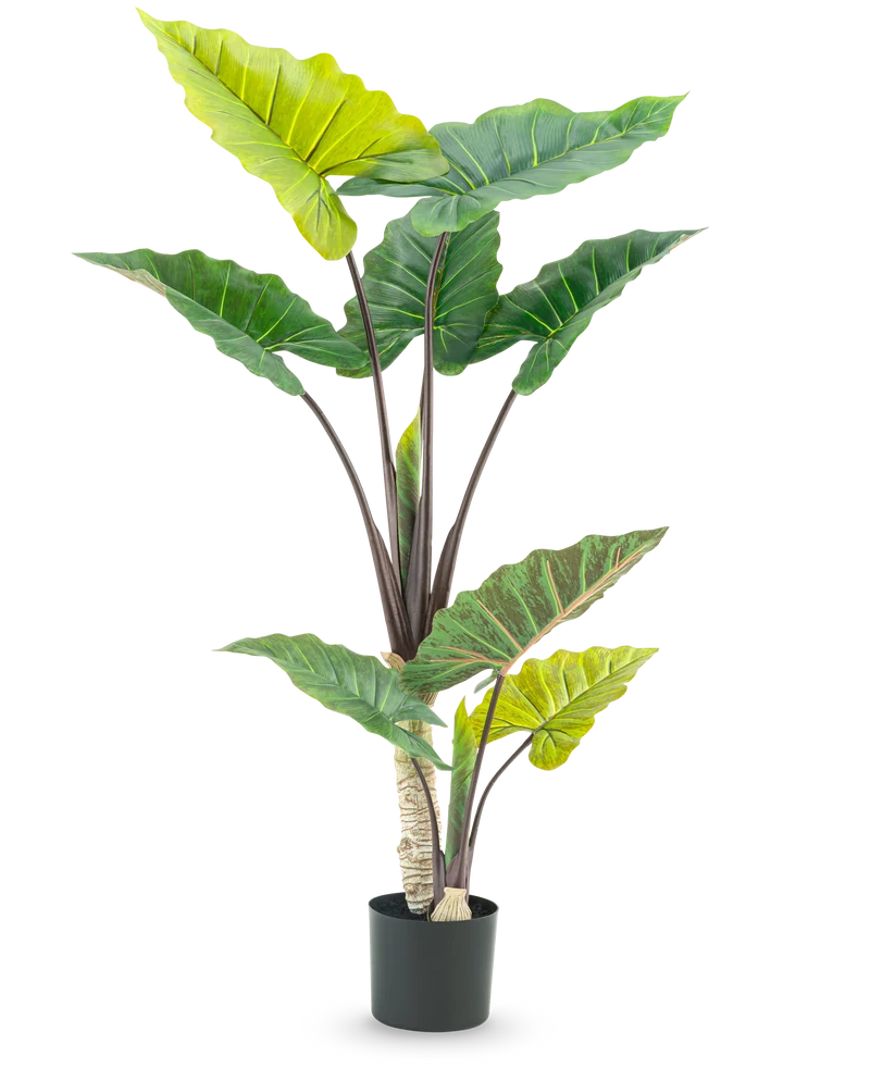Kunstpflanze Alocasia 150 cm