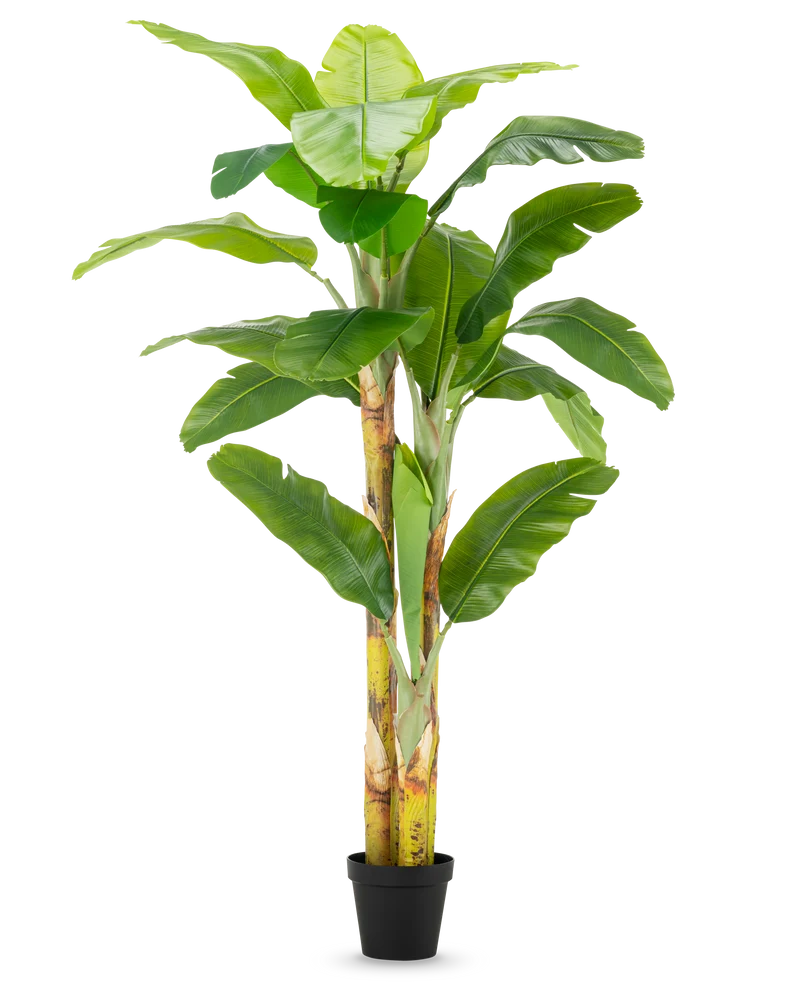 Künstlicher Bananenbaum 230 cm