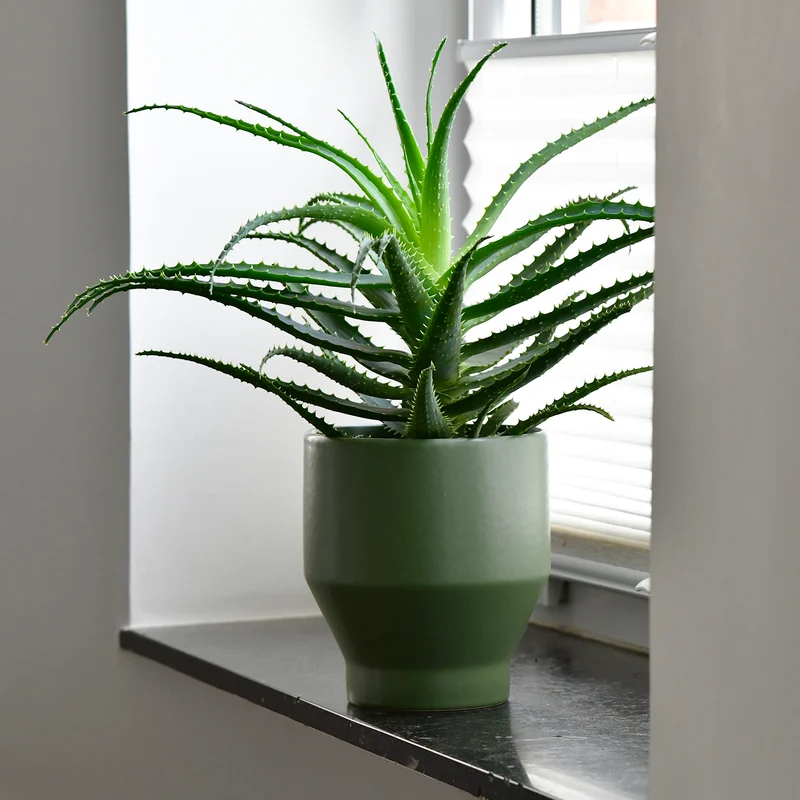 SPCIAL OFFER Keramiktopf Land 14cm
