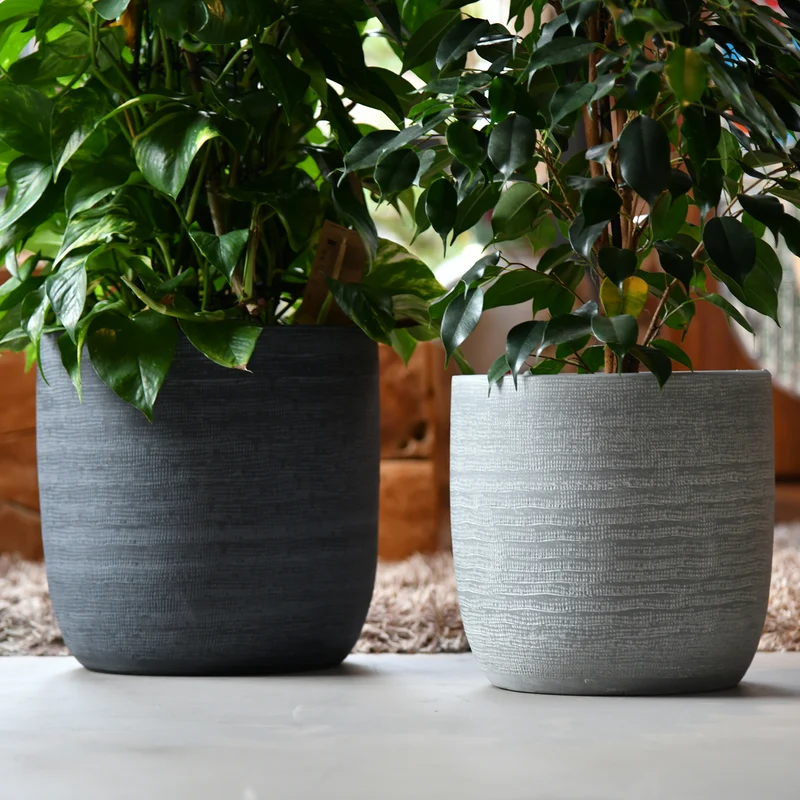 SPECIAL OFFER Magna 14cm