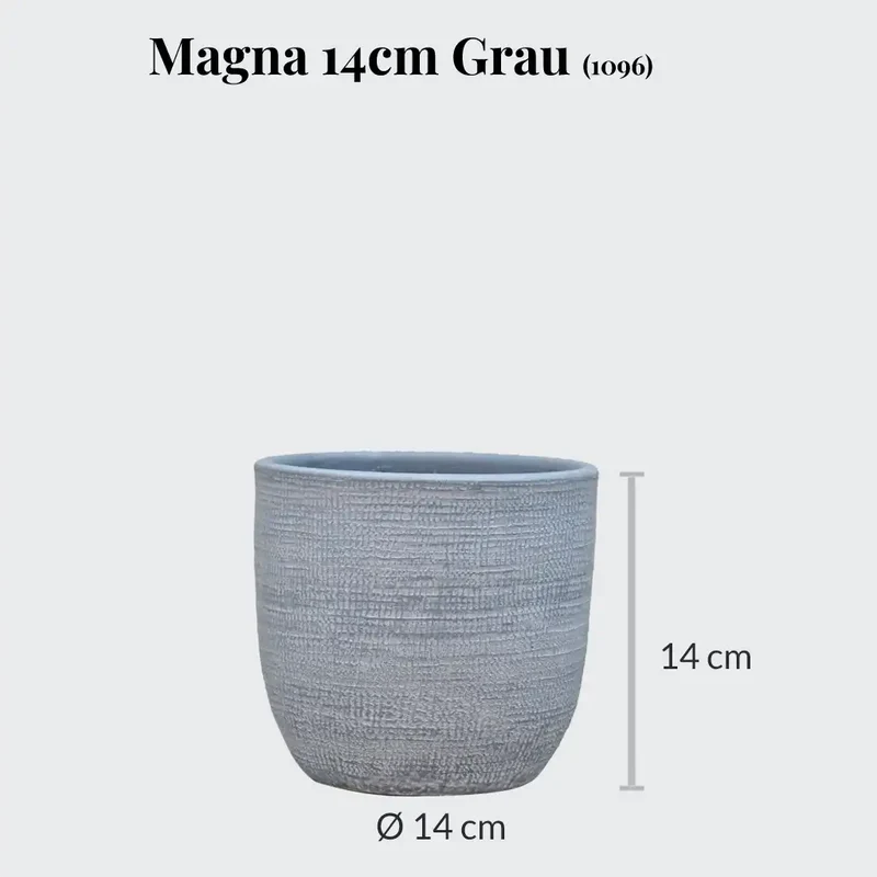SPECIAL OFFER Magna 14cm