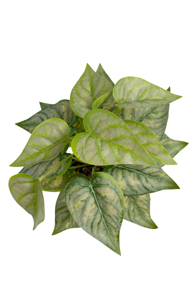 Caladium Kunstpflanze 32 cm