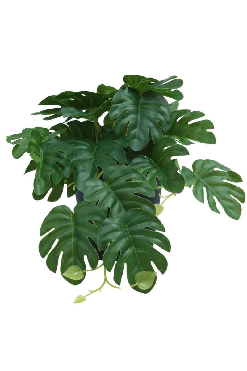 Monstera Kunstpflanze 17 cm