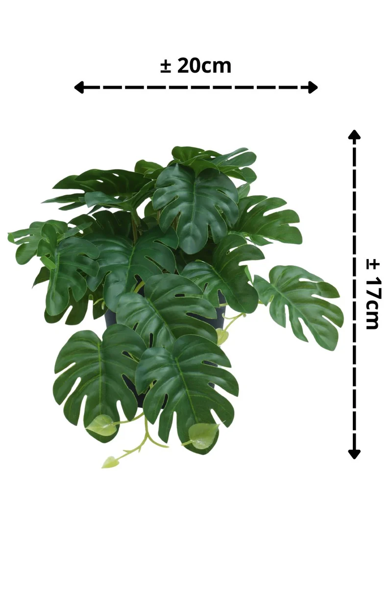 Monstera Kunstpflanze 17 cm