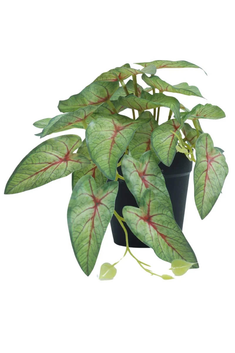 Caladium Kunstpflanze 17 cm