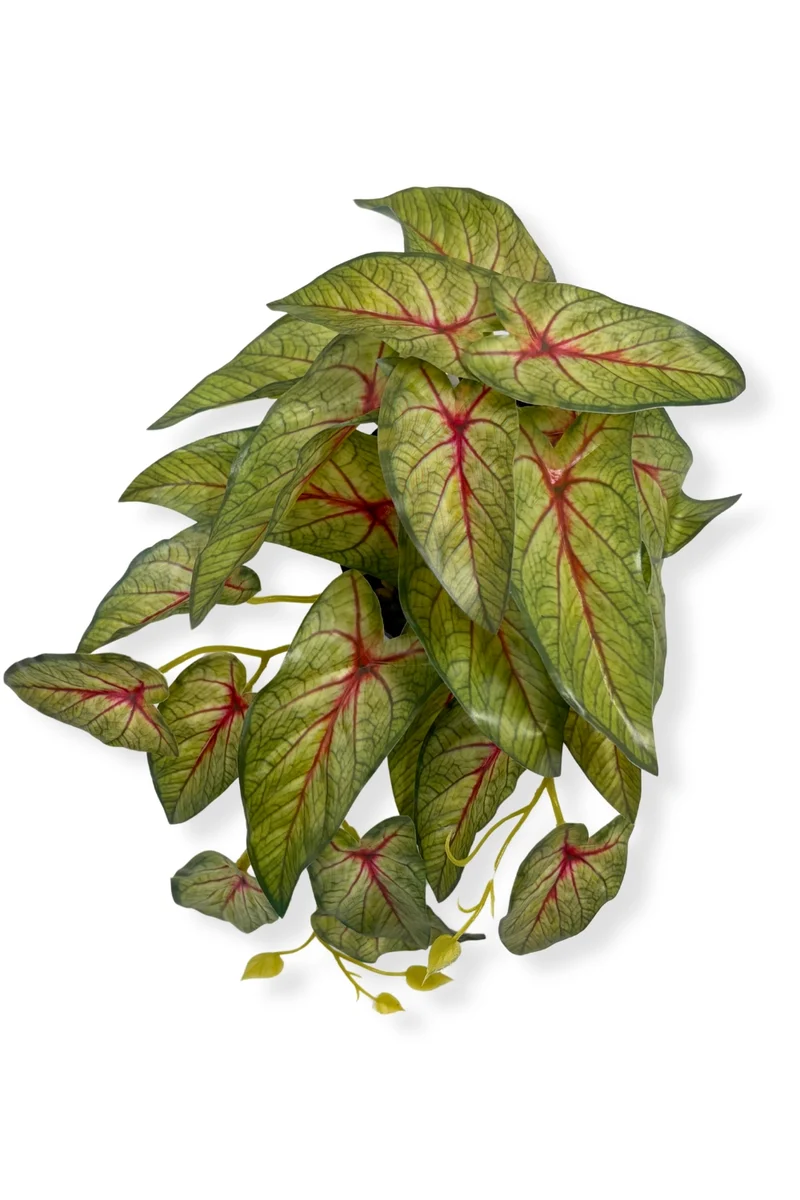 Caladium Kunstpflanze 17 cm