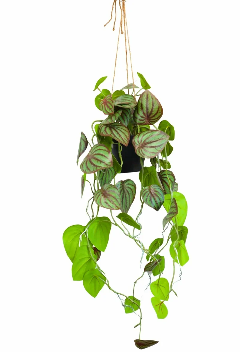 Pothos Künstliche Hängepflanze 70 cm