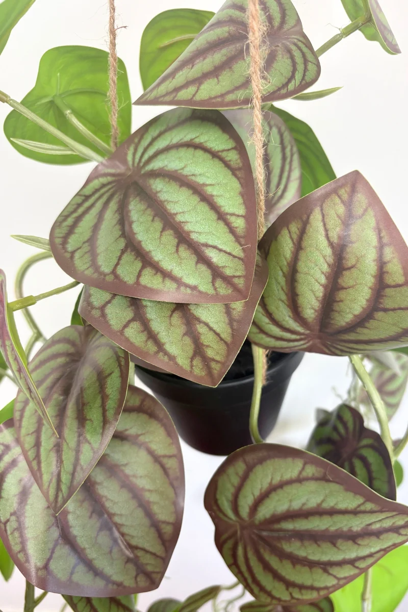Pothos Künstliche Hängepflanze 70 cm