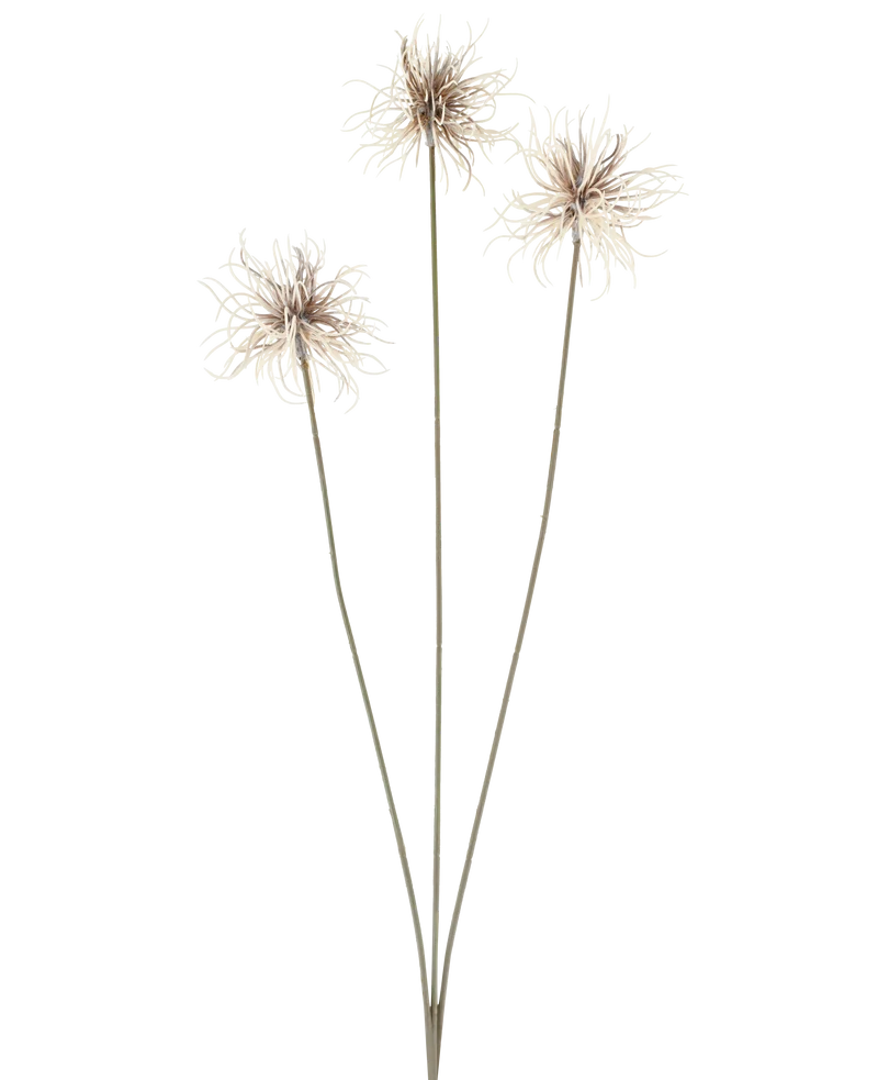 Künstliche Blume Xanthium 64 cm creme/braun