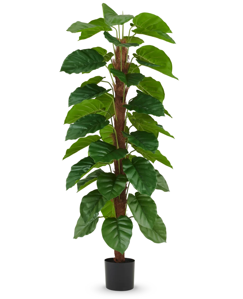 Künstliche Pflanze Epipremnum aureum 180 cm